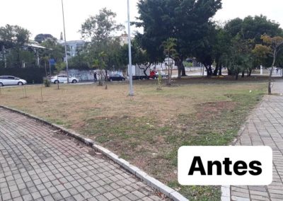 Foto 16-05-2019 20 06 19