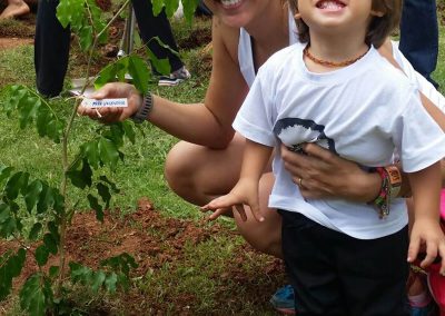 02-floresta-de-bolso