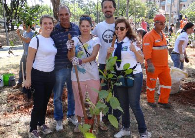 03-floresta-de-bolso