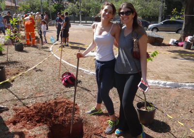 04-floresta-de-bolso