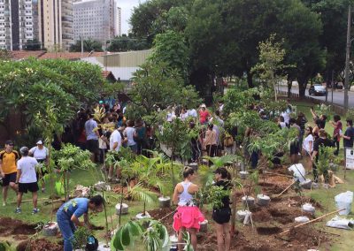 Floresta de bolso