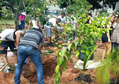 06-floresta-de-bolso