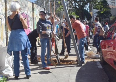 07-Plantio Antonio Bicudo