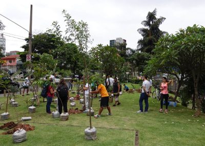 09-floresta-de-bolso
