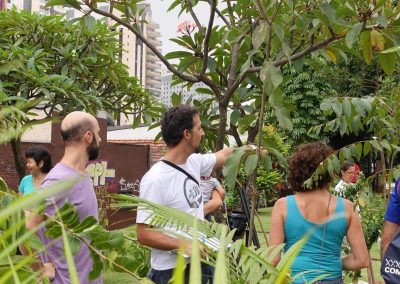 10-floresta-de-bolso