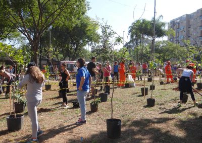 20-floresta-de-bolso