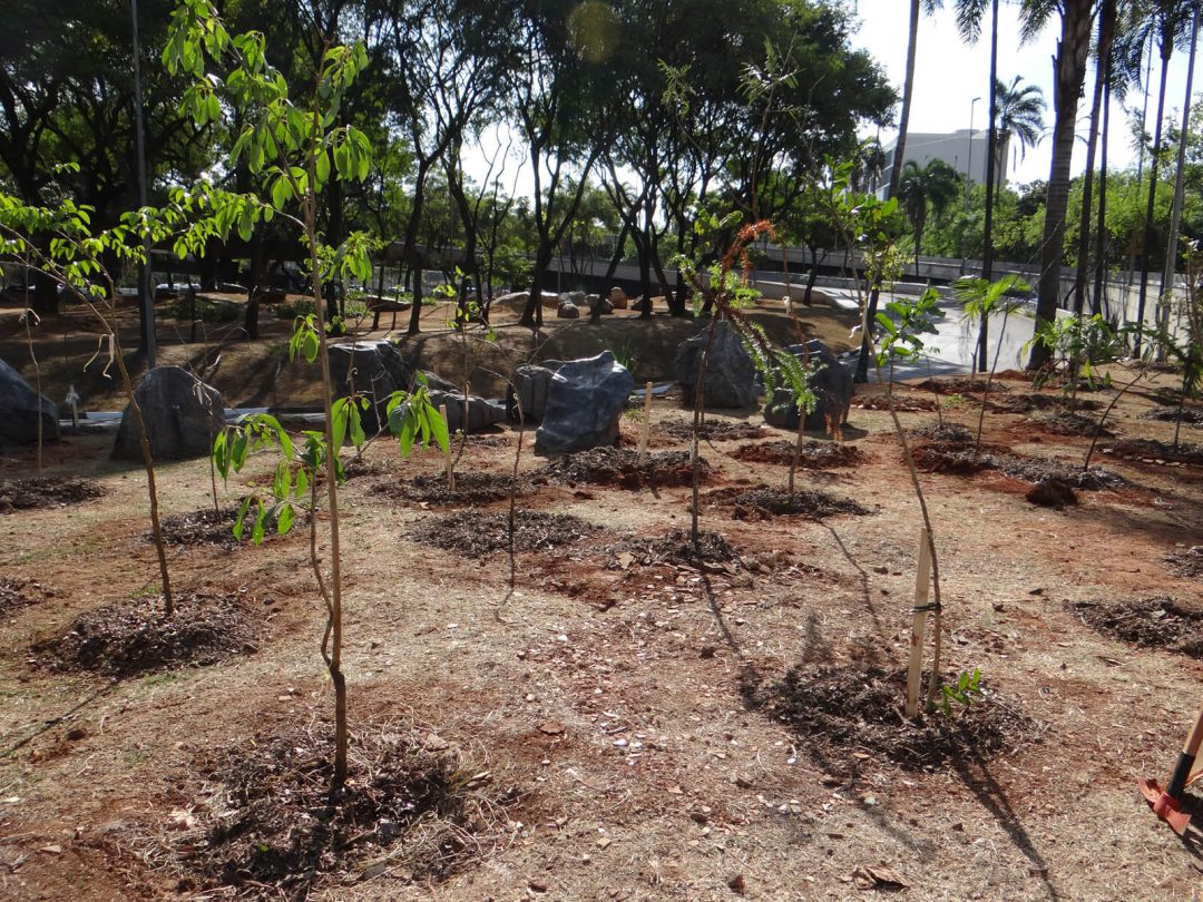 Praça Soishiro Honda
