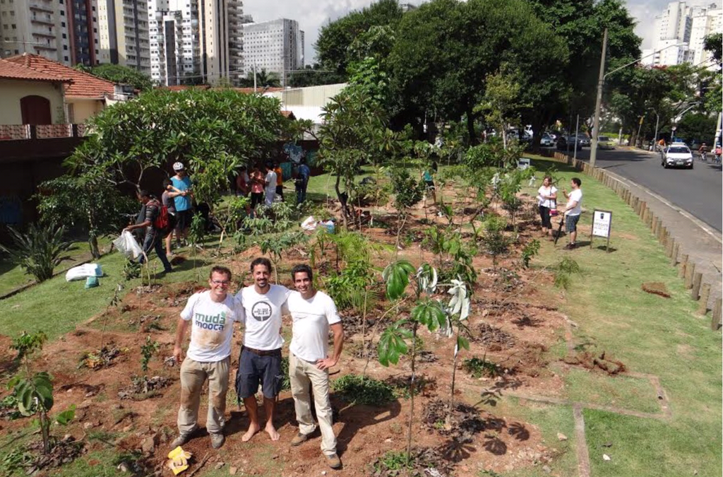 Catraca Livre plantando Novas Árvores por Aí =)