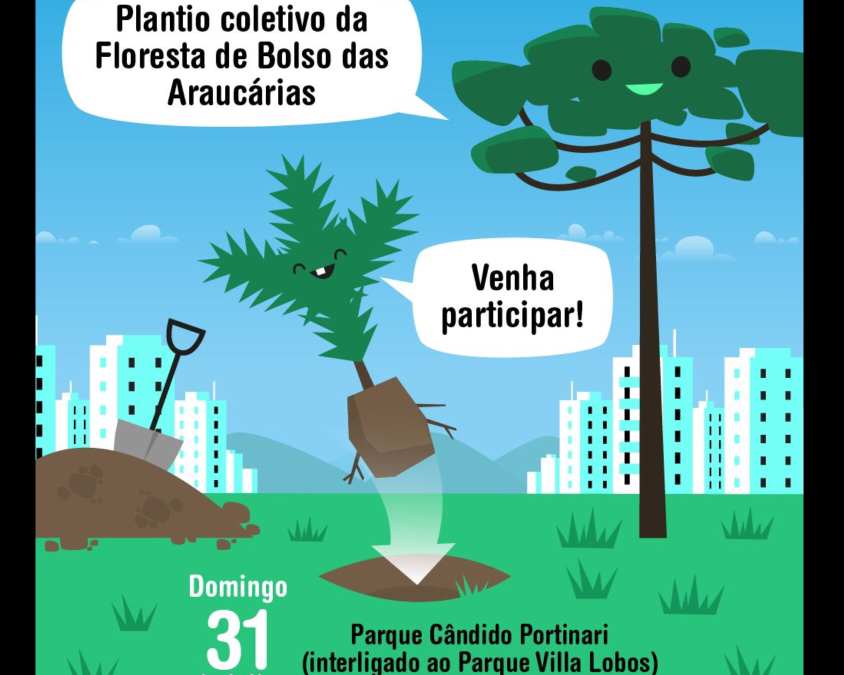 Valeu Árvore, Ser Tecnológico.